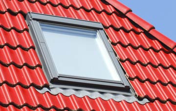 roof windows Withiel Florey, Somerset
